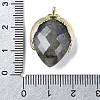 Natural Labradorite Pendants G-U019-01G-02-3