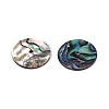 Natural Paua Shell Beads SSHEL-N040-20B-2