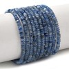 Natural Kyanite Beads Strands G-K376-E04-02-2