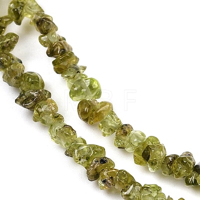 Natural Peridot Beads Strands X-G-P332-48-02-1