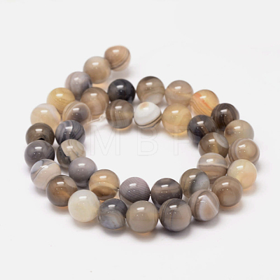 Natural Striped Agate/Banded Agate Bead Strands G-K155-A-10mm-13-1
