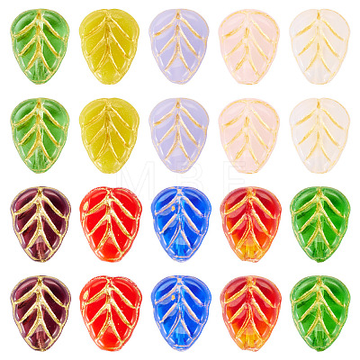 50Pcs Transparent Glass Beads LAMP-TA0002-65-1