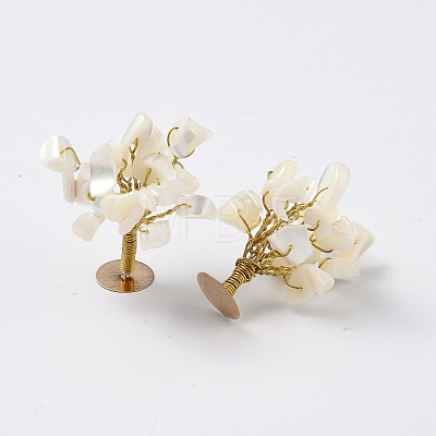 Natural White Shell Mother of Pearl Shell Chips Display Decorations G-Z016-13A-1