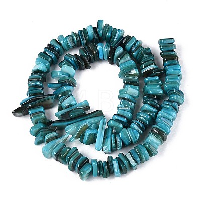 Natural Freshwater Shell Beads Strands SHEL-T020-40D-1