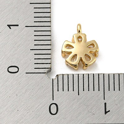 Brass with Clear Cubic Zirconia Charms KK-G478-02A-KCG-1