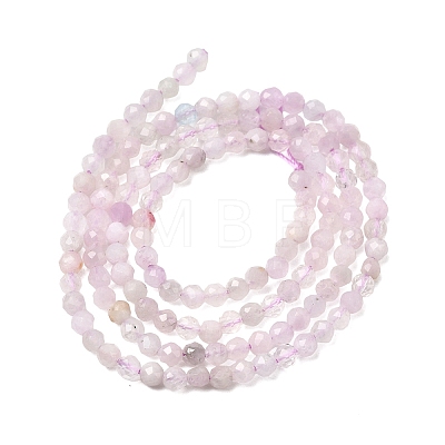 Natural Kunzite Beads Strands G-G343-B03-3mm-1