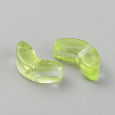 Transparent Handmade Lampwork Beads LAMP-CJC0012-01H-1