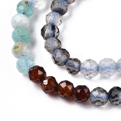 Natural Mixed Gemstone Beads Strands G-D080-A01-03-06-1