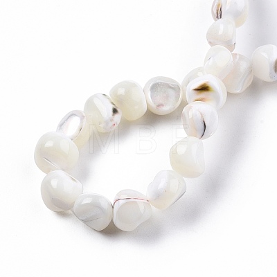 Natural Trochid Shell/Trochus Shell Beads Strands SSHEL-N032-48-1