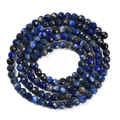 Natural Lapis Lazuli Beads Strands G-Z035-A01-02A-1