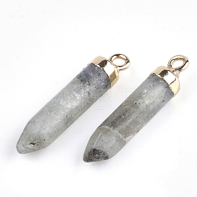 Electroplate Natural Labradorite Pointed Pendants X-G-S344-07C-1