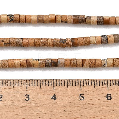 Natural Picture Jasper Beads Strands G-P608-A12-01-1