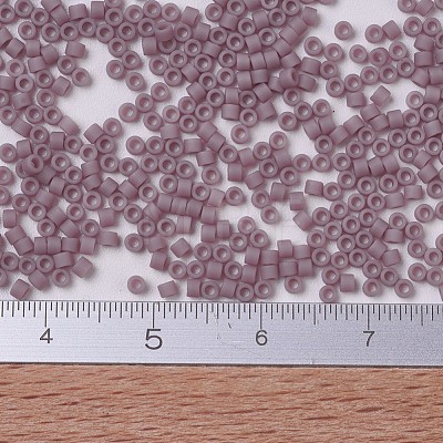 MIYUKI Delica Beads X-SEED-J020-DB0758-1