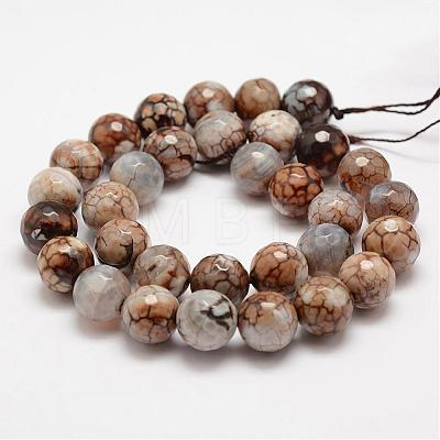 Faceted Natural Fire Crackle Agate Beads Strands G-F447-12mm-B14-1
