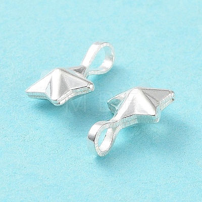 925 Sterling Silver Charms STER-E069-02S-1