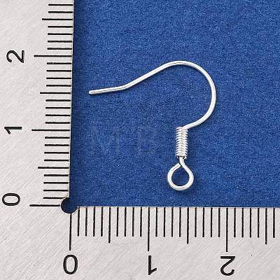 Brass Earring Hooks KK-Q363-S-NF-1