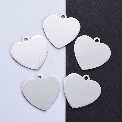 Tarnish Resistant 304 Stainless Steel Pendants LS-STAS-I140-10B-S-1