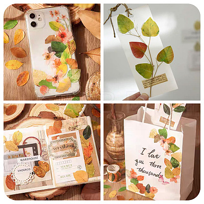 Autumn Leaf Paper Tape Stickers for Card Making DIY-TAC0032-23D-1
