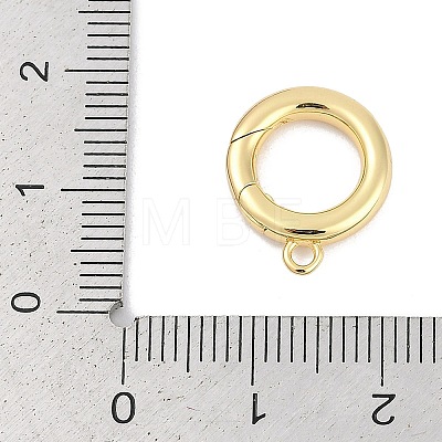 Brass Spring Gate Clasps KK-M311-25G-01-1