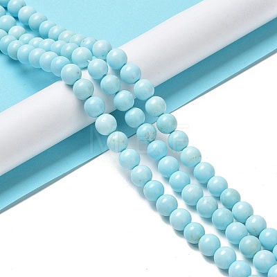 Natural Howlite Beads Strands G-E604-B02-B-1