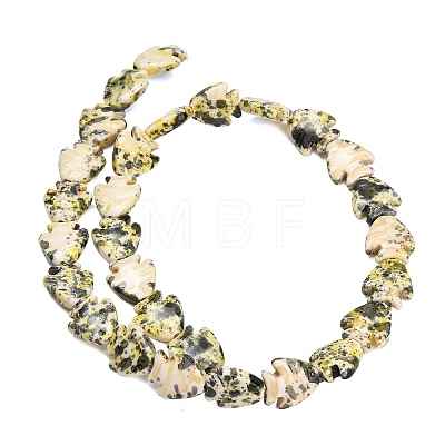 Dyed Synthetic Turquoise Beads Strands GG-CBAAE19-03B-05-1