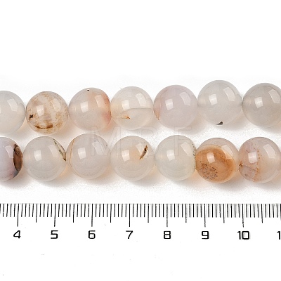 Natural Dendritic Agate Beads Strands G-A248-A07-02-1