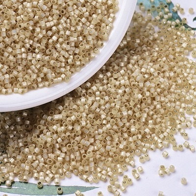 MIYUKI Delica Beads SEED-JP0008-DB0621-1