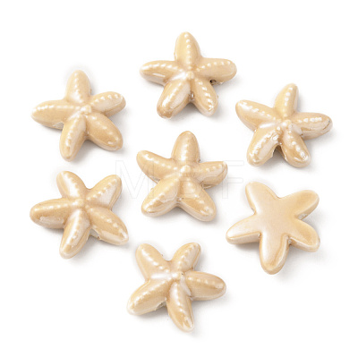 Handmade Porcelain Beads PORC-WH0016-01G-1