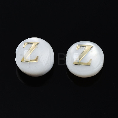 Natural Freshwater Shell Beads SHEL-S278-036Z-1