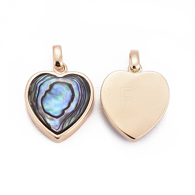 Natural Abalone Shell/Paua ShellCharms X-BSHE-F011-04B-G-1