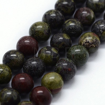 Natural Bloodstone Beads Strands G-I199-21-6mm-1