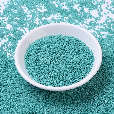 MIYUKI Round Rocailles Beads SEED-G007-RR0412-1