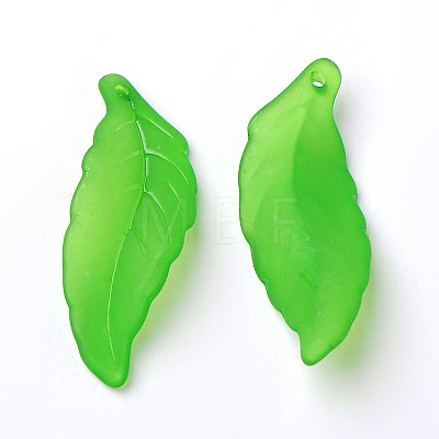 Transparent Acrylic Pendants FACR-R003-1-1