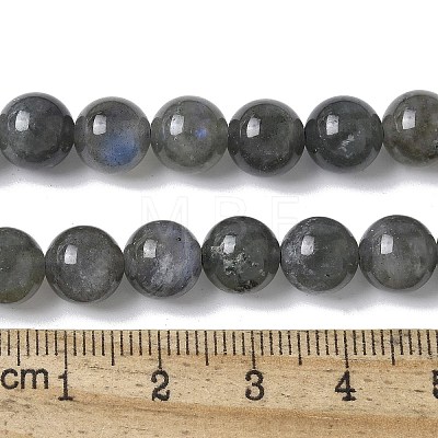 Natural Labradorite Beads Strands G-U017-8MM-01-1