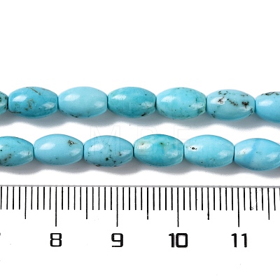 Natural Howlite Beads Strands G-H025-02B-1