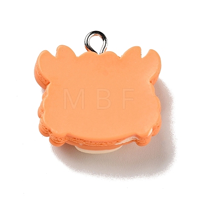 Opaque Resin Pendants RESI-G043-E04-B-1