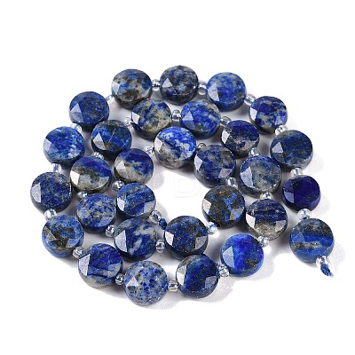 Natural Lapis Lazuli Beads Strands G-N342-16-1