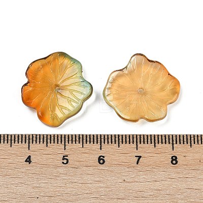 Transparent Glass Beads DGLA-E004-02L-1