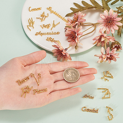 Twelve Constellations Alloy Cabochons DIY-CJ0001-29-1