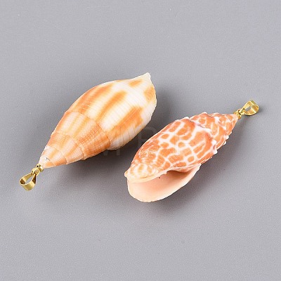 Brass & Natural Mitra Shell Big Pendants SHEL-Q029-17KCG-1