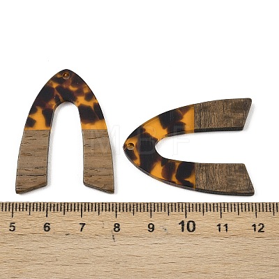 Transparwnt Resin & Walnut Wood Pendants RESI-I354-03J-1