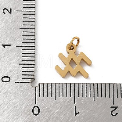 304 Stainless Steel Charms LS-STAS-R001-04G-11-1