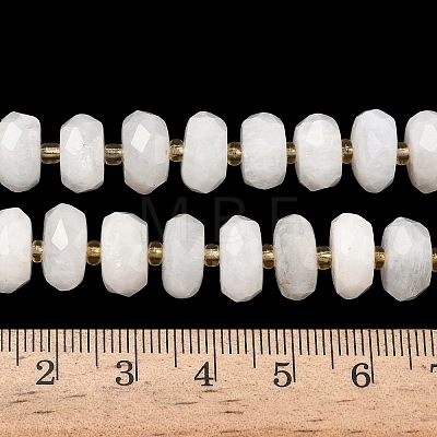 Natural Rainbow Moonstone Beads Strands G-L642-J06-01-1