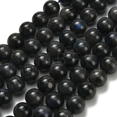 Natural Black Labradorite Beads Strands G-L642-B15-10mm-1