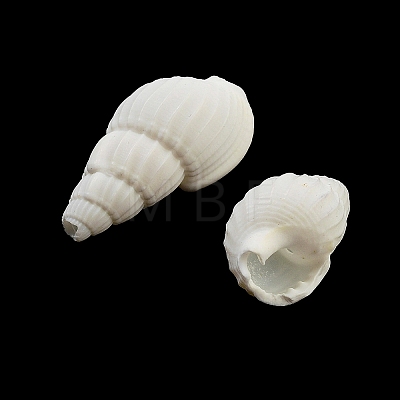 Natural Spiral Shell Beads BSHE-G038-06A-1