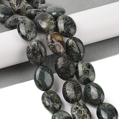 Natural Serpentine Beads Strands G-I231-01-1