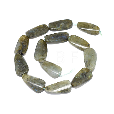 Natural Labradorite Beads Strands G-F632-01-1