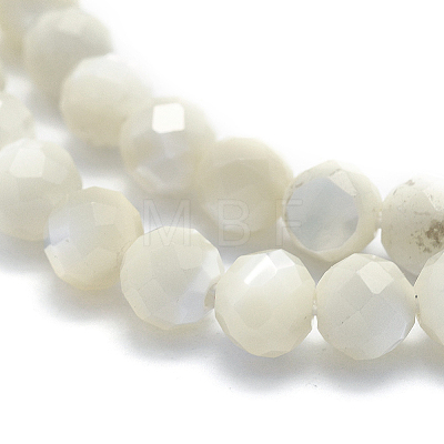 Natural White Shell Beads G-O171-09-6mm-1