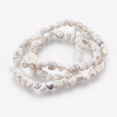 Natural Howlite Chips Beads Strands G365-34-1