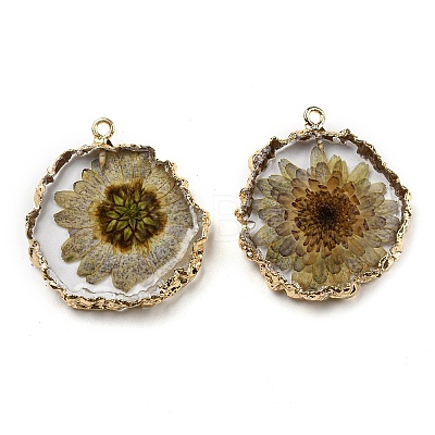 Inner Dried Flower Resin Pendants RESI-P028-02KCG-05-1